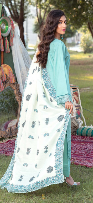 Mint Green Munira 3pc Dhanak Suit