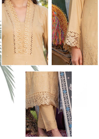 Beige Munira 3pc Dhanak Suit