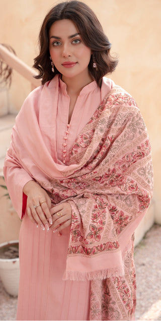 Baby Pink Raniya.h 3pc Dhanak Suit