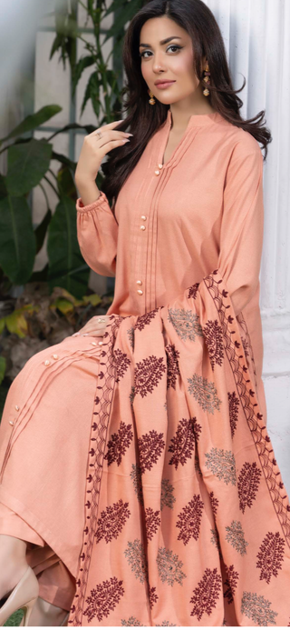 Peach Raniya.h 3pc Dhanak Suit