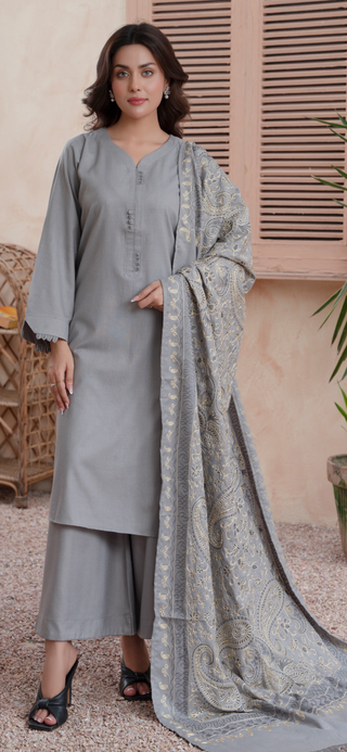 Grey Raniya.h 3pc Dhanak Suit