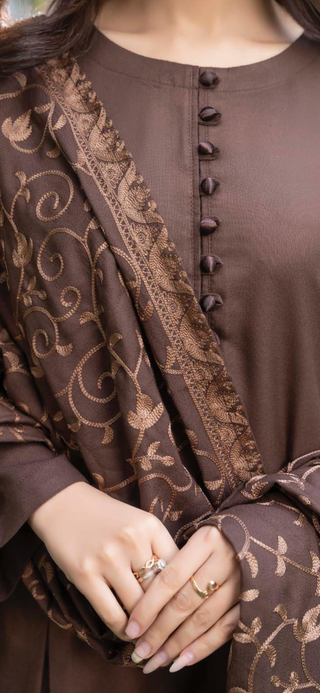 Brown Raniya.h 3pc Dhanak Suit