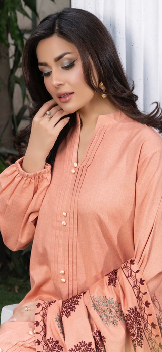 Peach Raniya.h 3pc Dhanak Suit