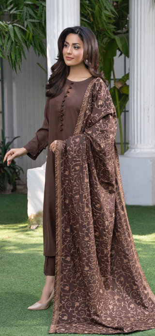 Brown Raniya.h 3pc Dhanak Suit