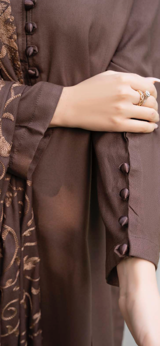 Brown Raniya.h 3pc Dhanak Suit